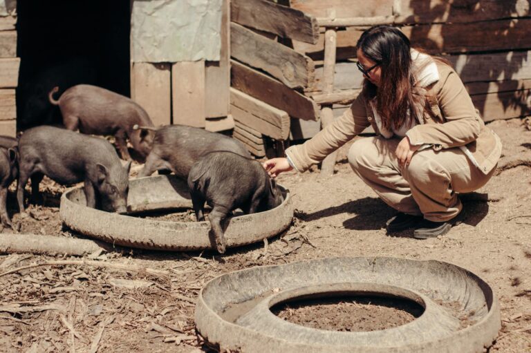 $40,000/Year Livestock Feeder Jobs in Canada